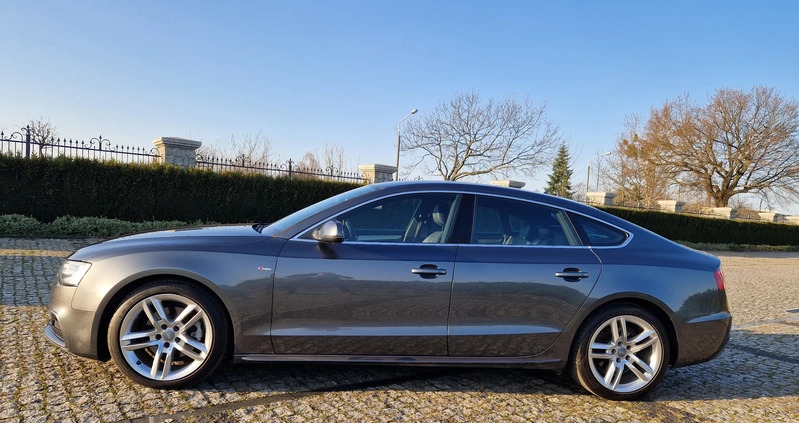 Audi A5 cena 69900 przebieg: 221647, rok produkcji 2016 z Bydgoszcz małe 781